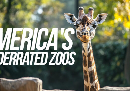 FUN-America's Underrated Zoos